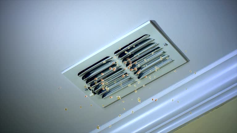 Best Air Duct Cleaning Company Near Me  in Salem, SD