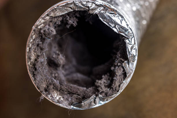 Best Emergency Air Duct Cleaning  in Salem, SD